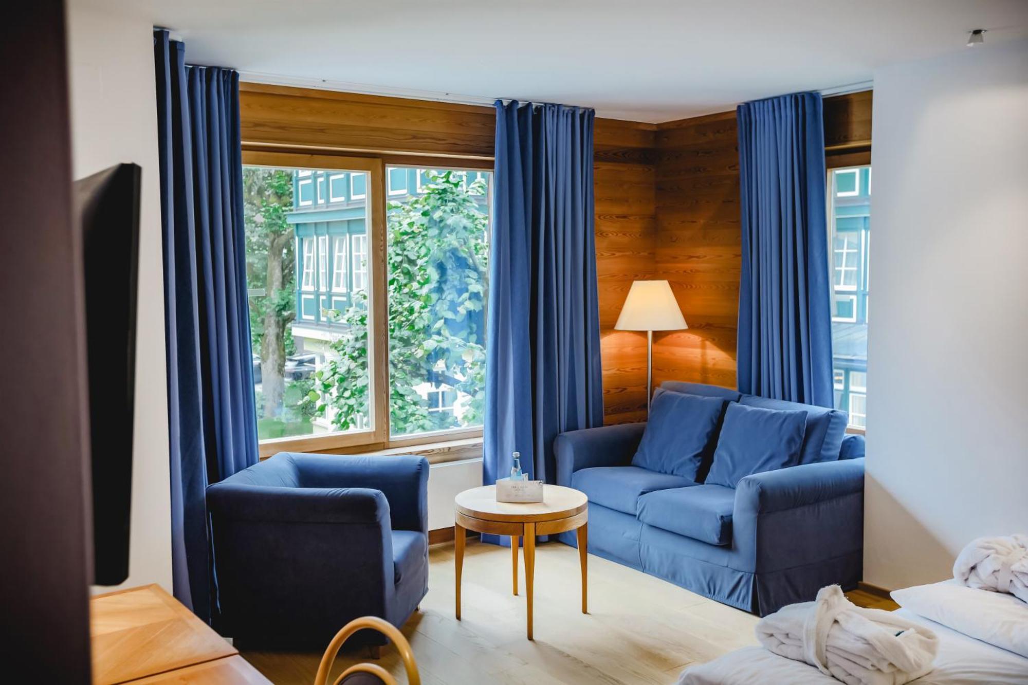 Double Room Mountain View