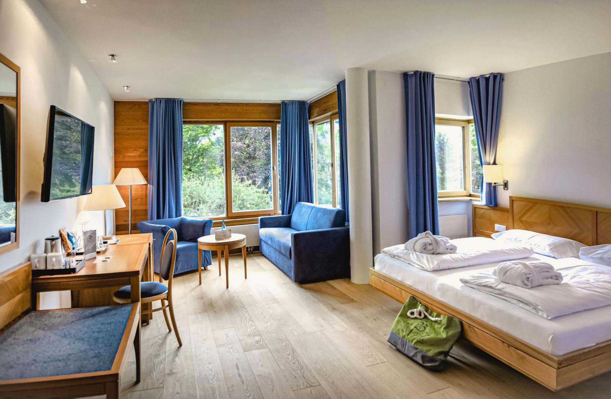 Double Room Mountain View